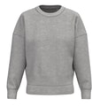 Dames Sweater Native Spirit Ecologische NS439 Moon Grey Heather